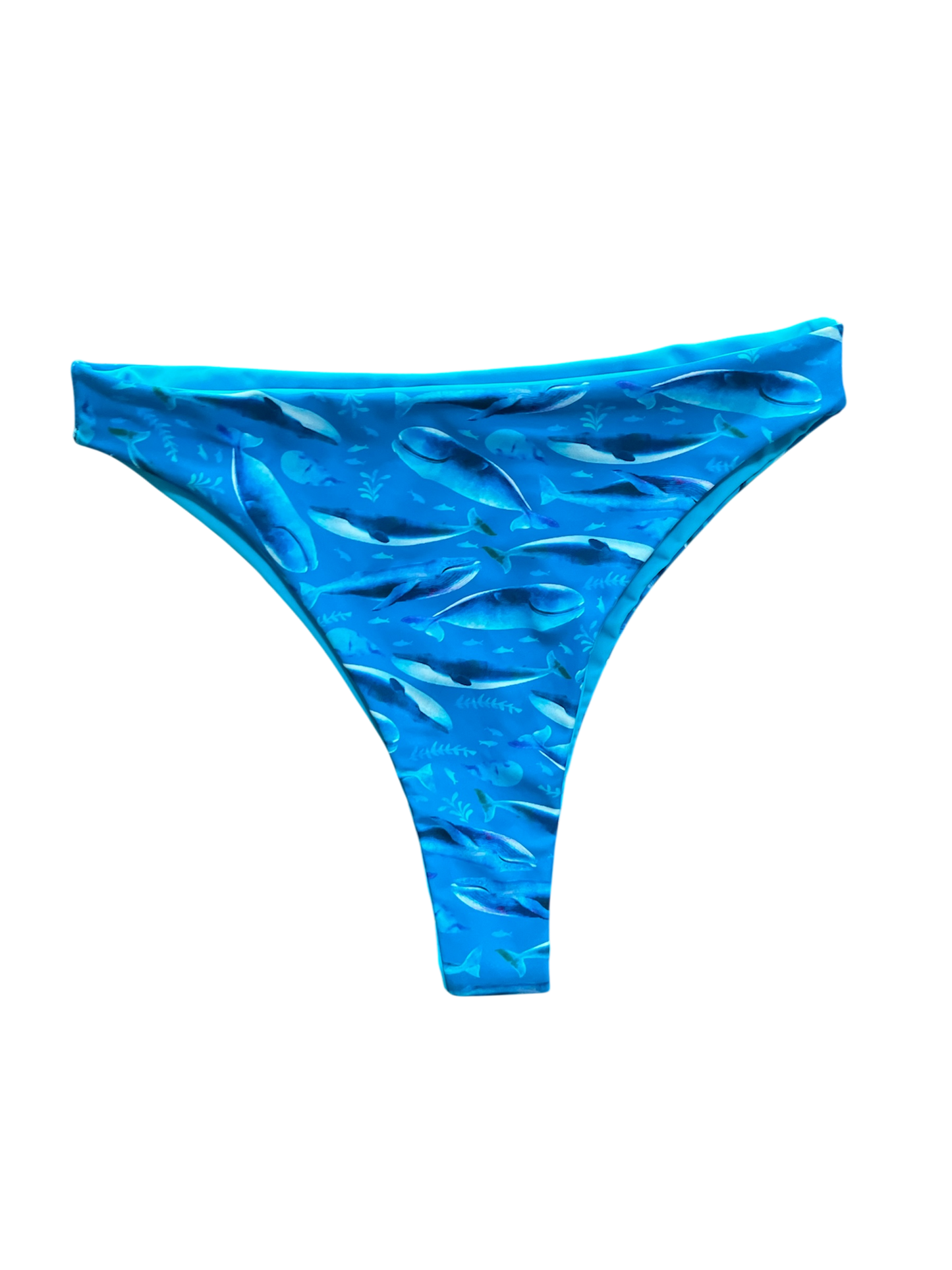 Bermuda Cheeky - XS/S - Whales x Azure